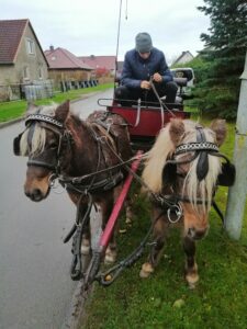 IMG 20201116 153710