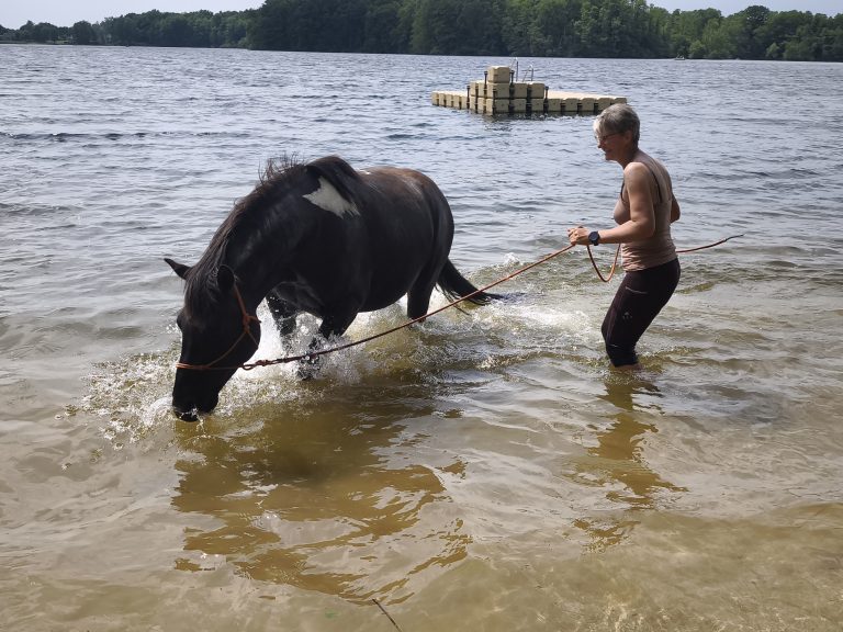 Schecke trinkt im flachen Seewasser, daneben ein Mann