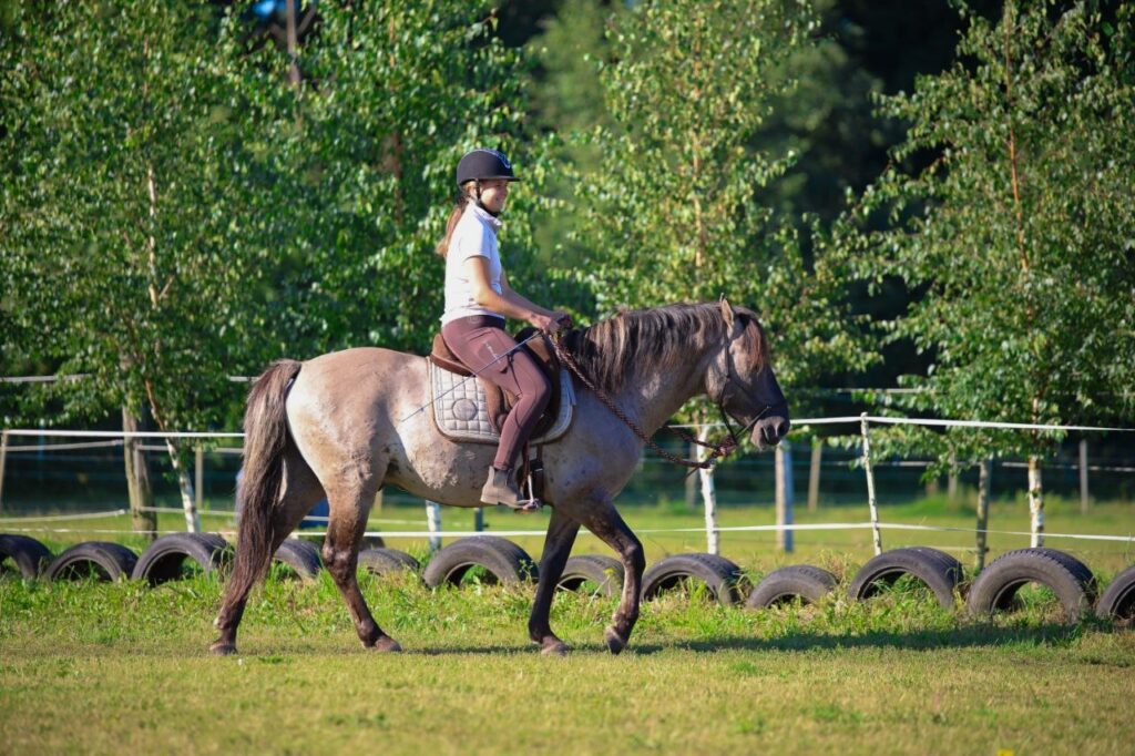 Reiterin auf einem Pferd am Reitplatz